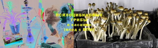 MESCALINE Няндома