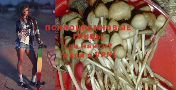 ALPHA-PVP Нягань