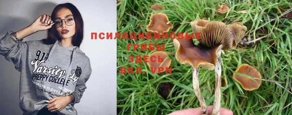 ПСИЛОЦИБИНОВЫЕ ГРИБЫ Кстово