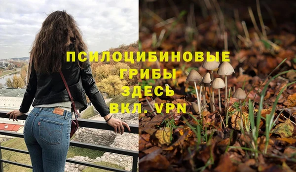 MESCALINE Няндома