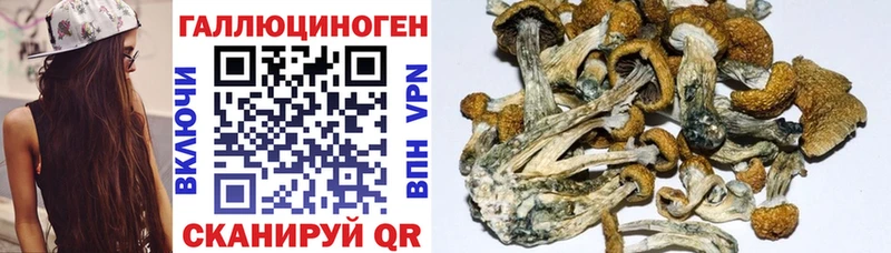 Галлюциногенные грибы Cubensis Оха